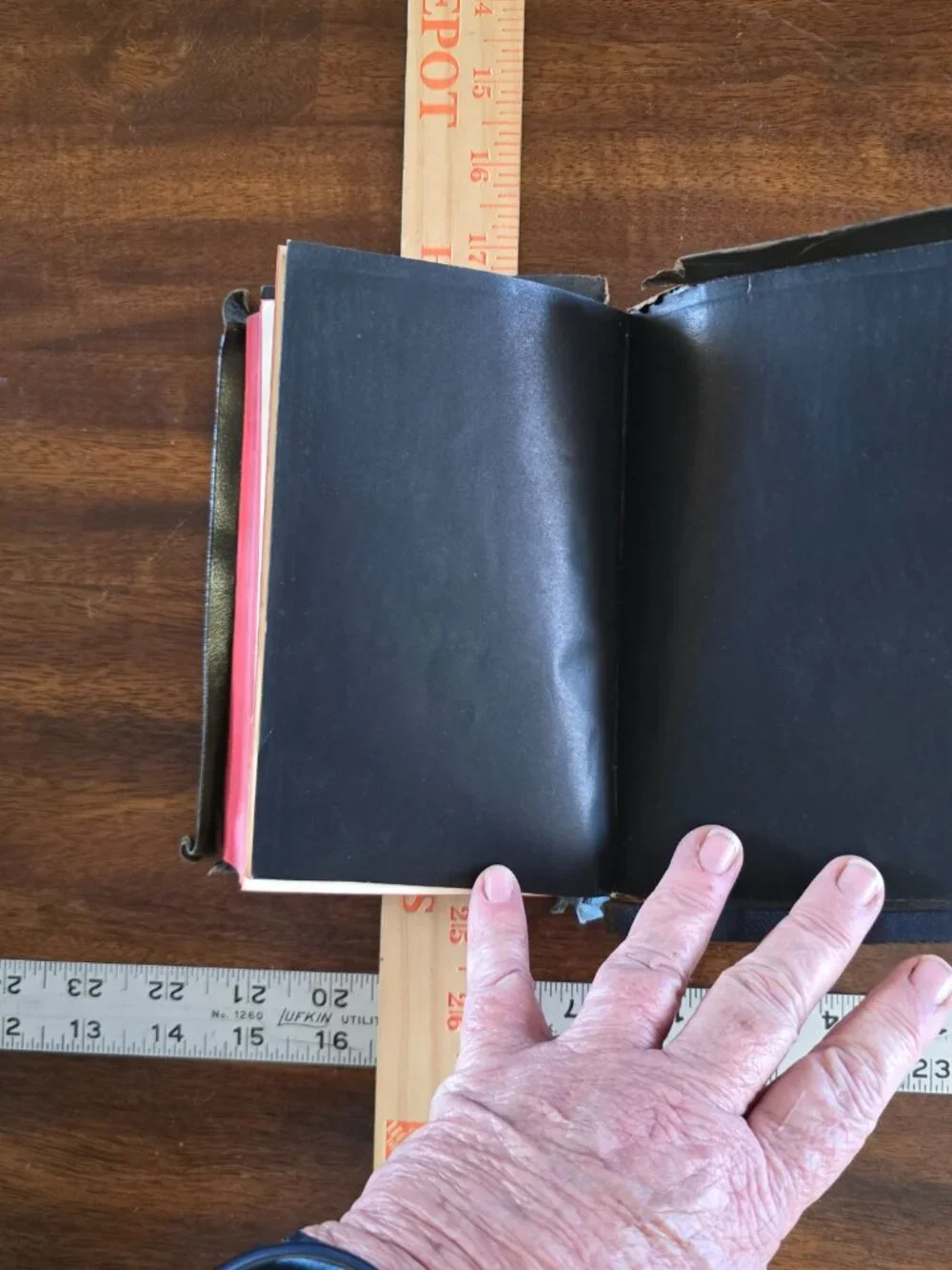 Die Bibel